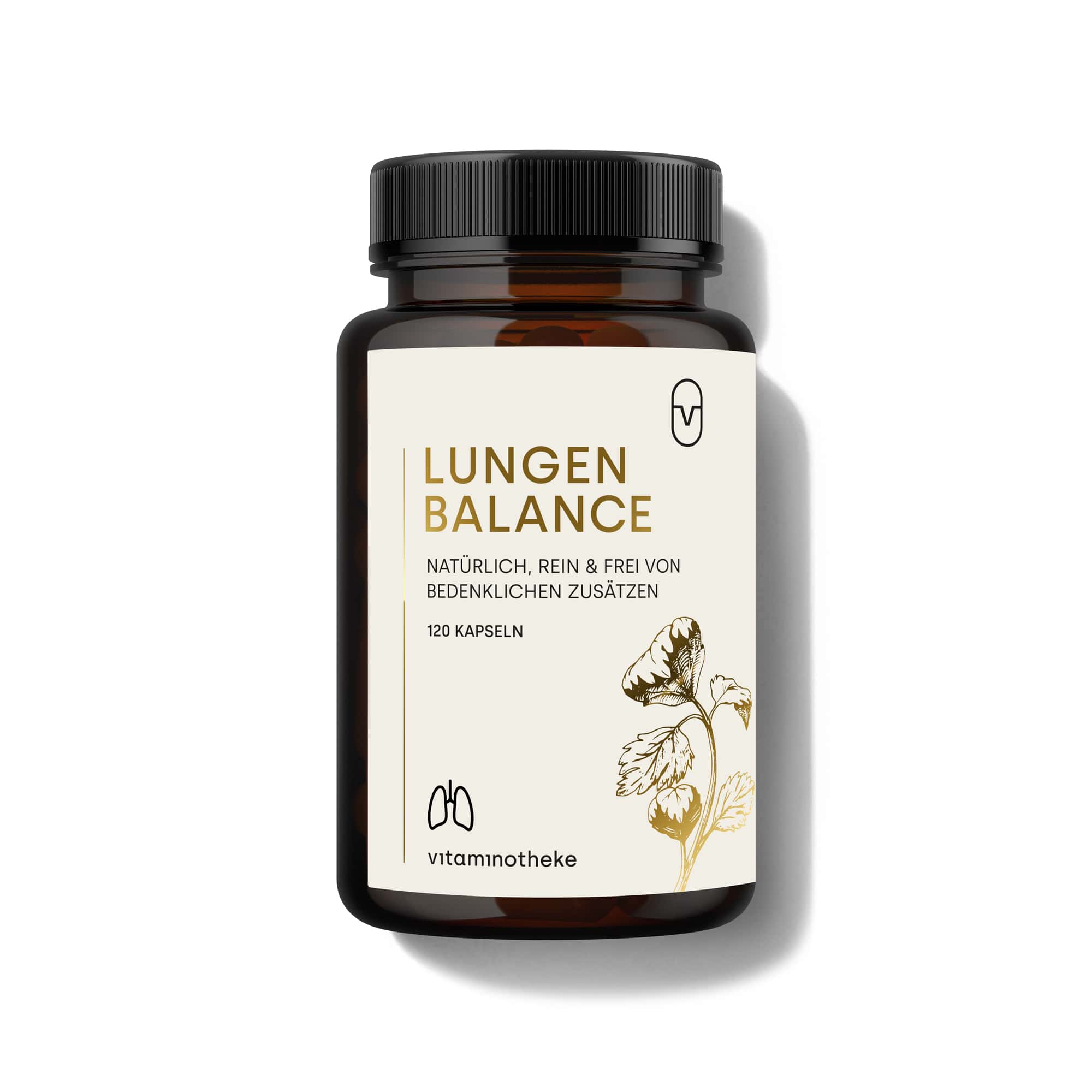 lungenbalancebild1-min_b062886a-89de-43c5-8b16-4d3050bec3ad.jpg