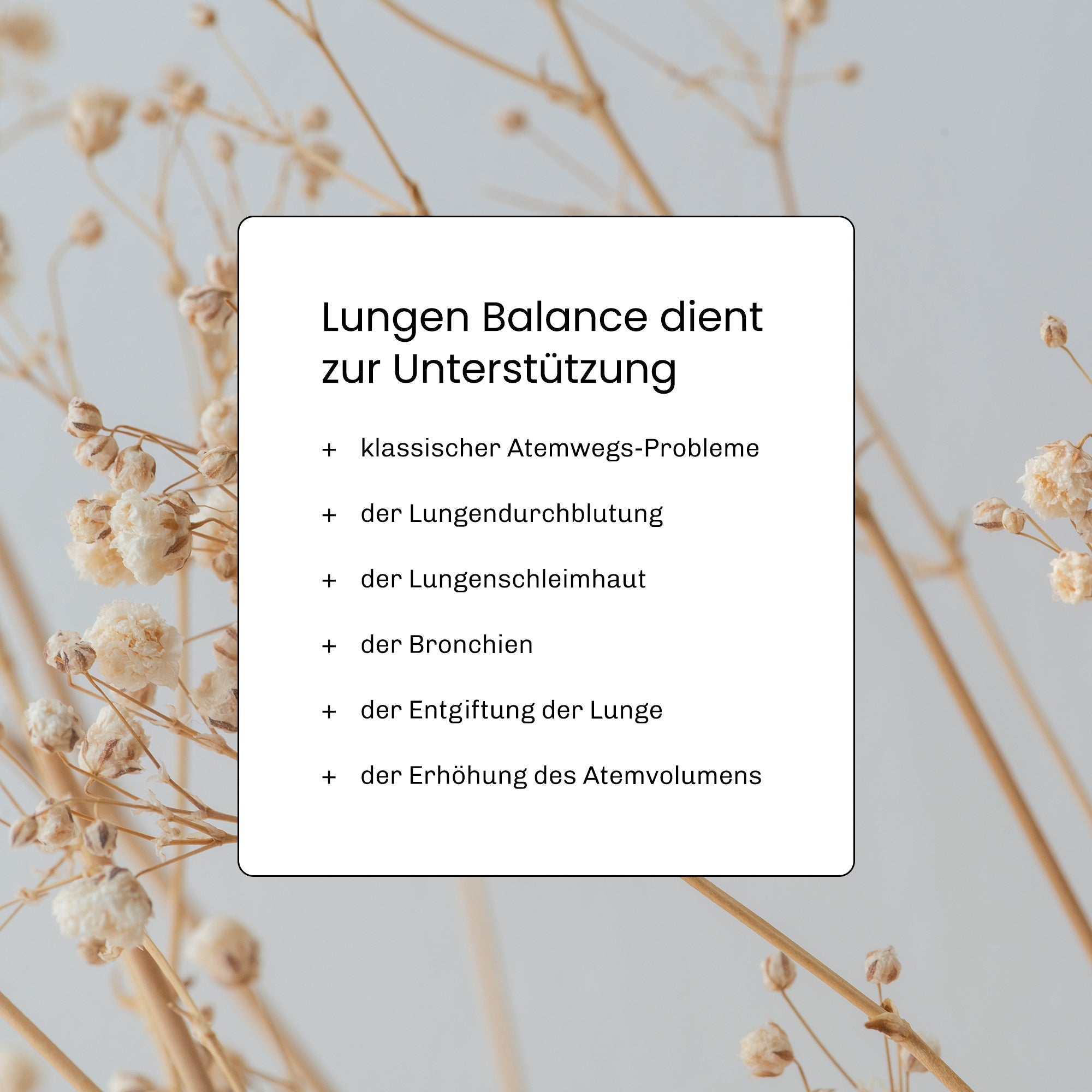 Lungen Balance